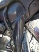Duryea, PA에서 판매 중인 2012 Harley-Davidson Flhx Street Glide   - Front End