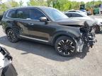 2023 Kia Telluride Sx zu verkaufen in Marlboro, NY - All Over