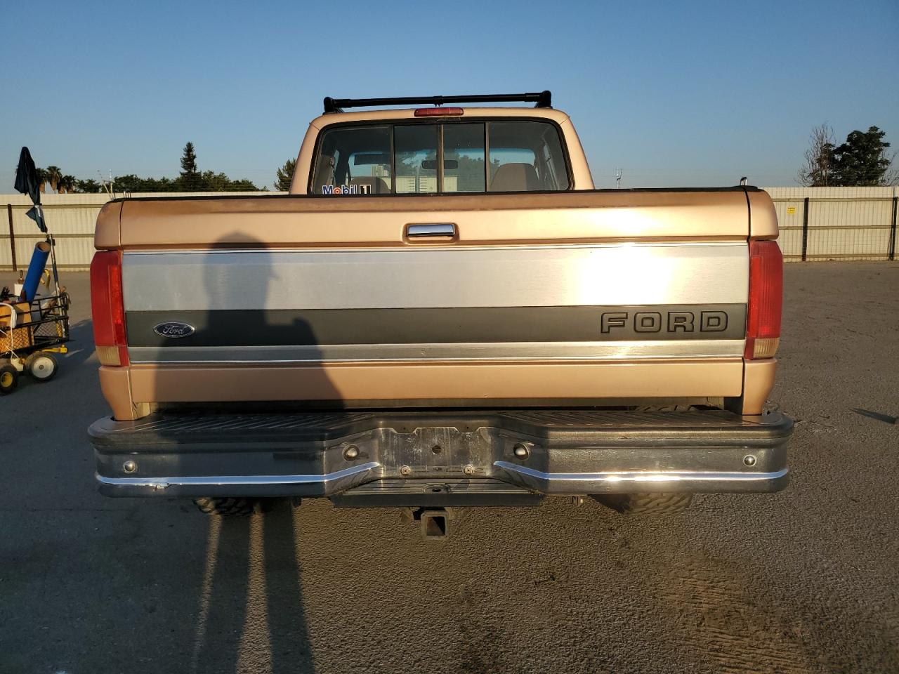 1994 Ford F150 VIN: 1FTEX15N8RKA78023 Lot: 55765645