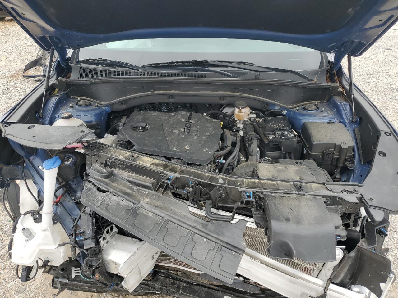 2023 Hyundai Santa Fe Sel VIN: 5NMS2DAJ7PH553384 Lot: 55920565