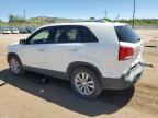2011 Kia Sorento Base за продажба в Colorado Springs, CO - Rear End