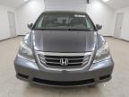 2010 Honda Odyssey Exl للبيع في Brighton، CO - Minor Dent/Scratches