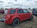 2009 Ford Escape Xlt for Sale in Des Moines, IA - Front End