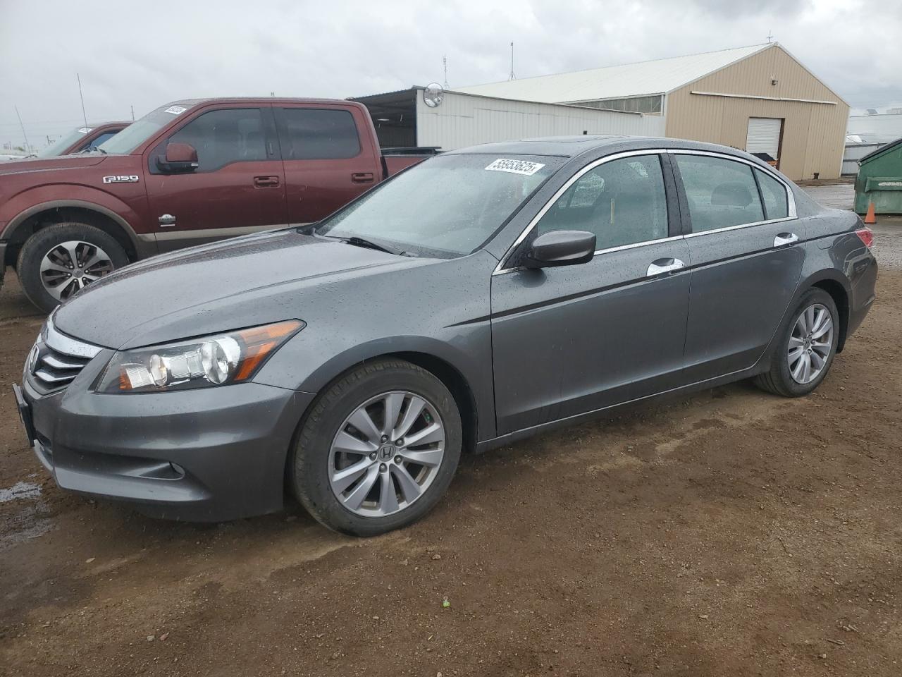 2011 Honda Accord Exl продається в Brighton, CO - Front End