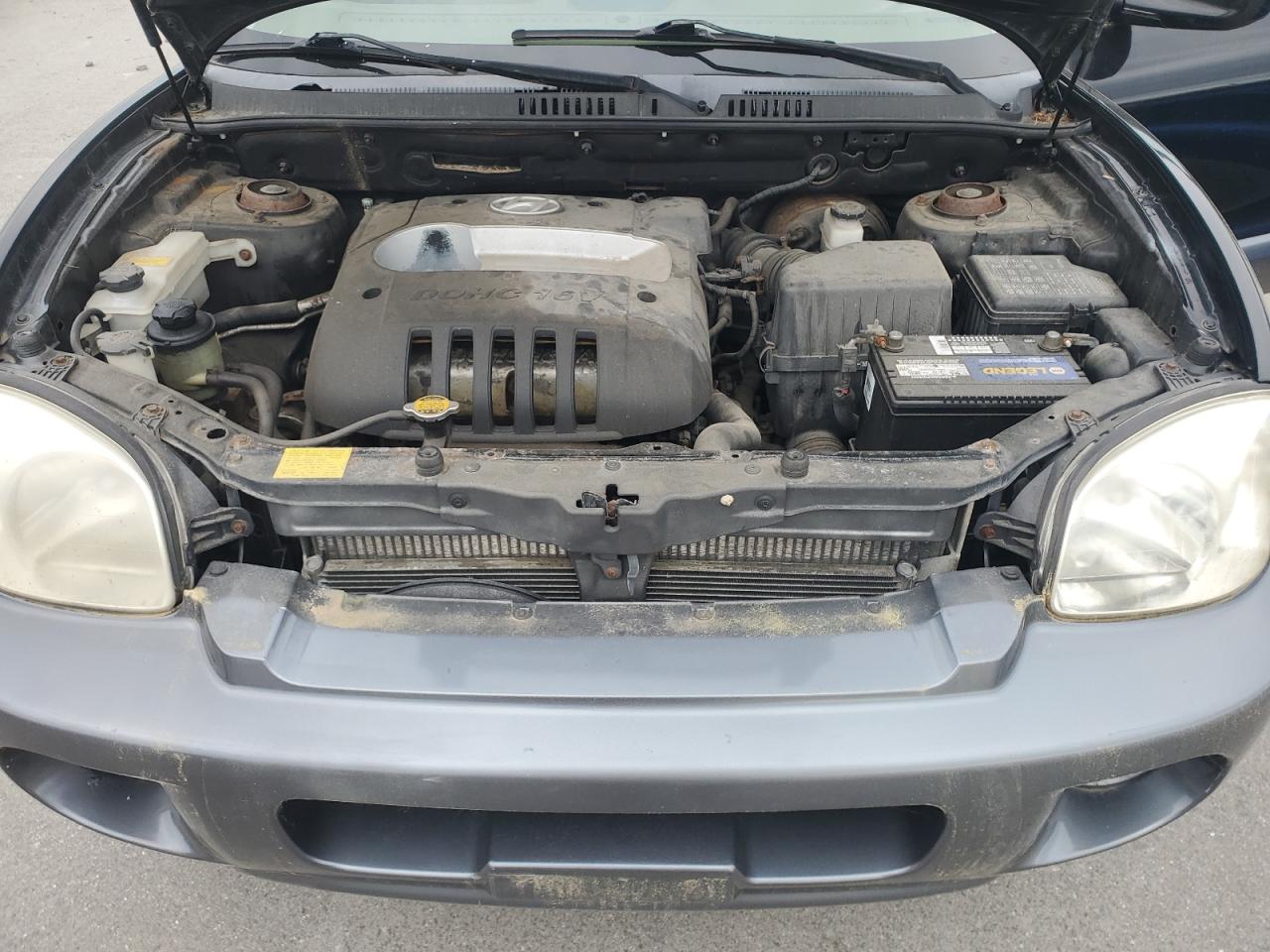2004 Hyundai Santa Fe Gl VIN: KM8SB12B34U614445 Lot: 61526345