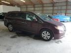 2014 Honda Odyssey Exl for Sale in Lawrenceburg, KY - Hail