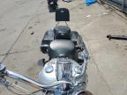 2003 Harley-Davidson Flstci Anniversary for Sale in Littleton, CO - Front End