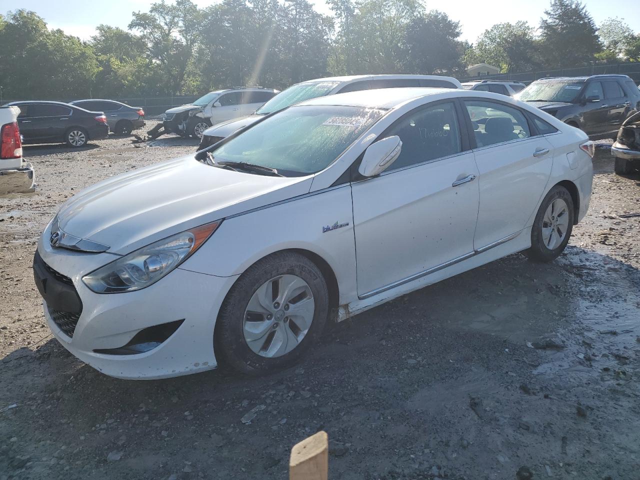 2013 Hyundai Sonata Hybrid zu verkaufen in Madisonville, TN - Front End