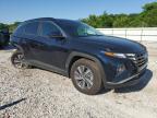 2024 Hyundai Tucson Blue for Sale in Prairie Grove, AR - Rear End