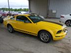 2005 Ford Mustang  for Sale in Fort Wayne, IN - Front End