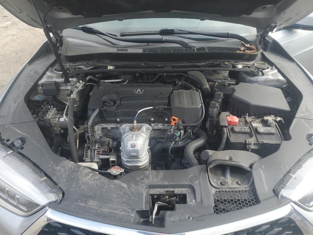 2019 Acura Tlx VIN: 19UUB1F31KA006505 Lot: 55859985