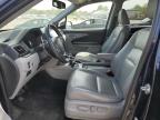 2016 Honda Pilot Exl იყიდება Hillsborough-ში, NJ - Minor Dent/Scratches