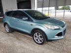 2013 Ford Escape Sel for Sale in Rogersville, MO - Normal Wear