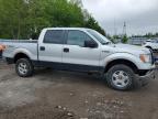 2012 Ford F150 Supercrew for Sale in London, ON - Front End