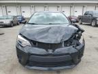 2015 Toyota Corolla L   продається в Louisville, KY - All Over