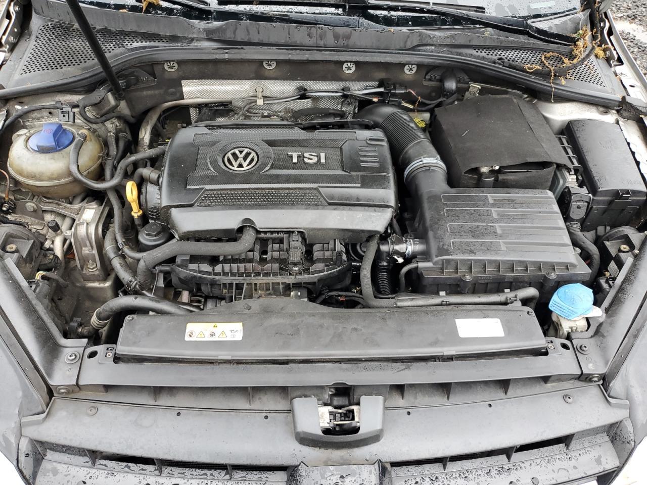 2016 Volkswagen Golf Sportwagen S VIN: 3VWC17AU4GM516239 Lot: 57017225
