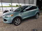 2013 Ford Escape Sel for Sale in Rogersville, MO - Normal Wear