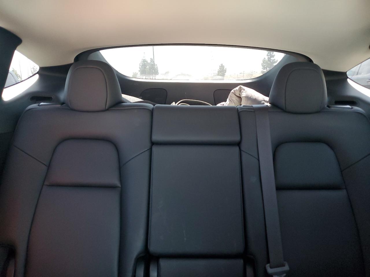 2024 Tesla Model Y VIN: 7SAYGDEF0RF059697 Lot: 57507415