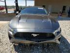 Tanner, AL에서 판매 중인 2019 Ford Mustang  - Rear End