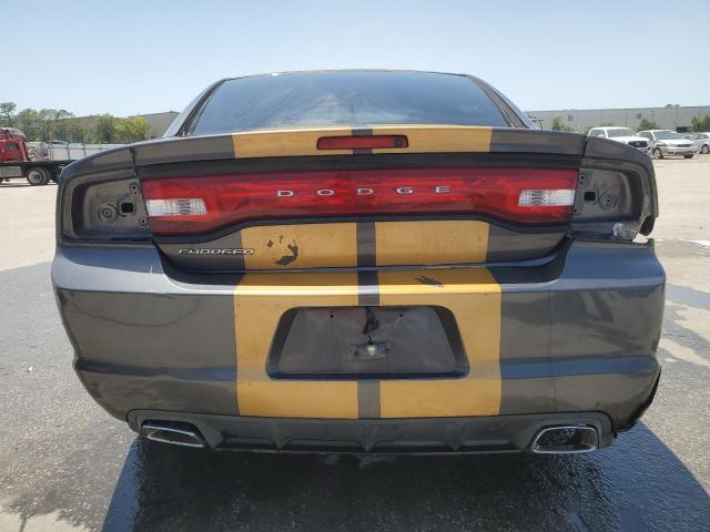  DODGE CHARGER 2013 Two tone