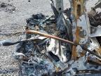 2022 Tesla Model S  na sprzedaż w Grenada, MS - Burn
