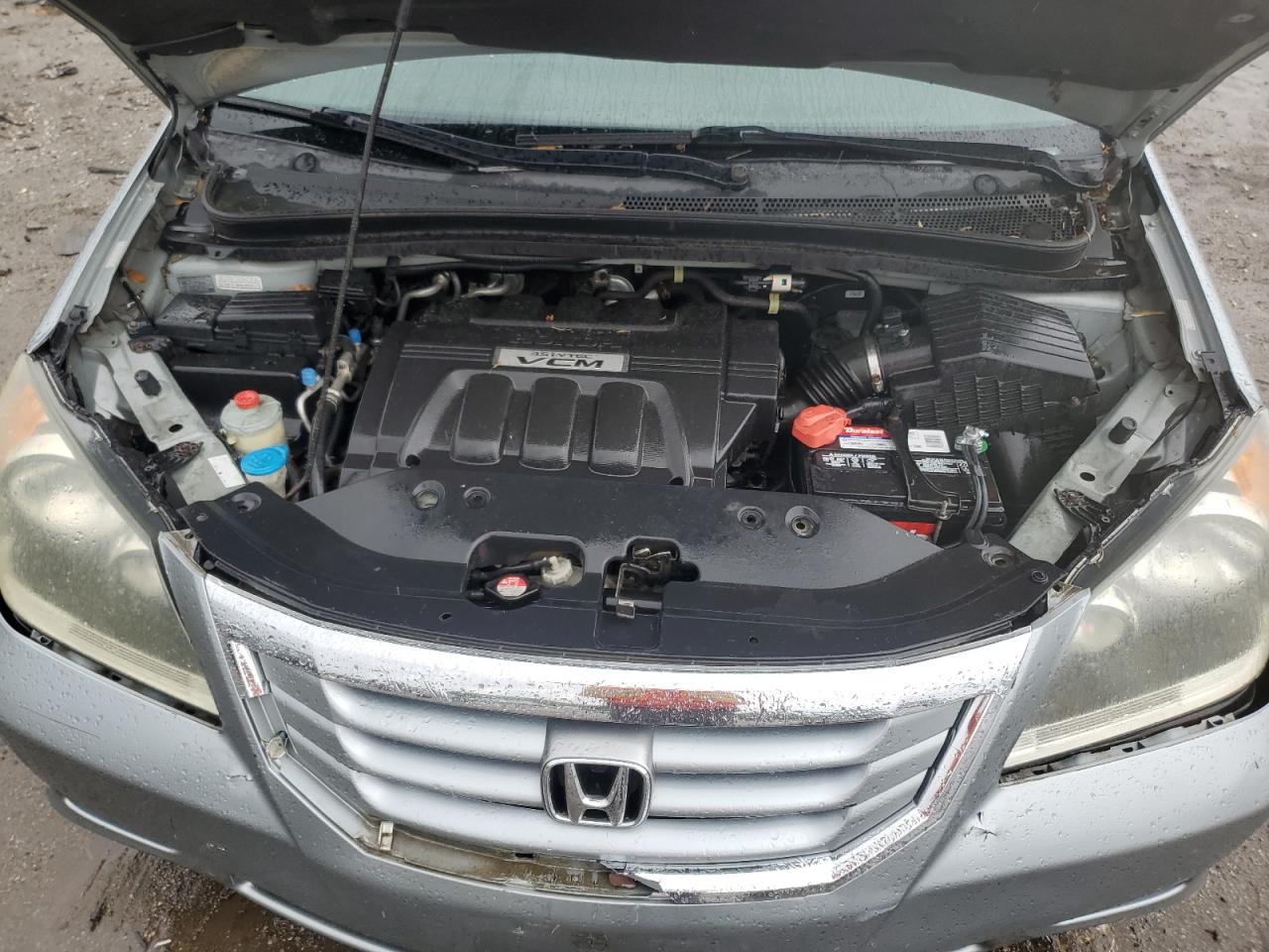 2008 Honda Odyssey Exl VIN: 5FNRL386X8B077299 Lot: 56836165