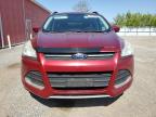 2015 Ford Escape Se zu verkaufen in London, ON - Minor Dent/Scratches