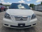 2010 Honda Odyssey Exl იყიდება Prairie Grove-ში, AR - Hail