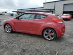 2013 Hyundai Veloster  იყიდება Earlington-ში, KY - Hail