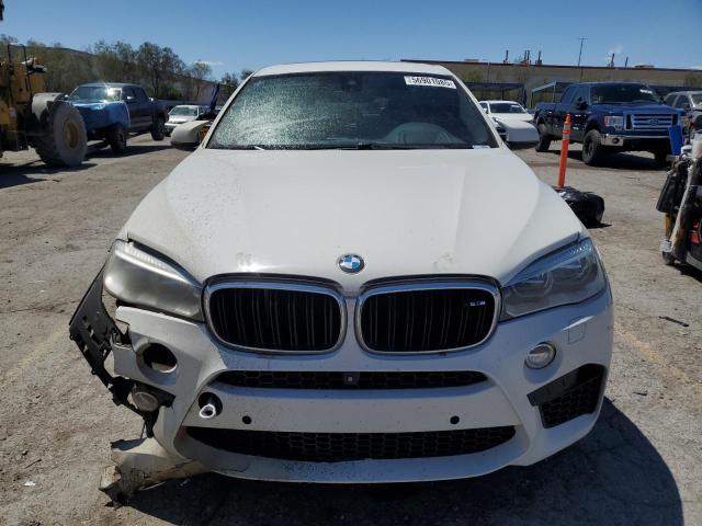 Паркетники BMW X6 2015 Білий