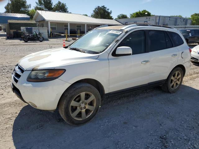 2007 Hyundai Santa Fe Se