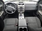 2009 Ford Escape Xlt de vânzare în Elgin, IL - Front End