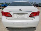 2011 Lexus Es 350 იყიდება Houston-ში, TX - Minor Dent/Scratches