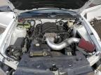 2008 Ford Mustang Gt zu verkaufen in Harleyville, SC - All Over