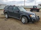 2012 Ford Escape Xlt продається в Bismarck, ND - All Over