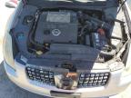 2004 Nissan Maxima Se for Sale in Harleyville, SC - Rear End
