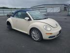 2008 Volkswagen New Beetle Convertible Se for Sale in Assonet, MA - Rear End