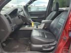 2012 Ford Escape Xlt zu verkaufen in Glassboro, NJ - Rear End