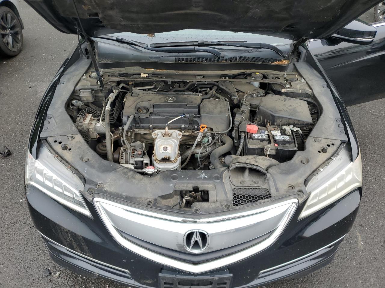 2016 Acura Tlx Tech VIN: 19UUB1F5XGA009041 Lot: 56520355