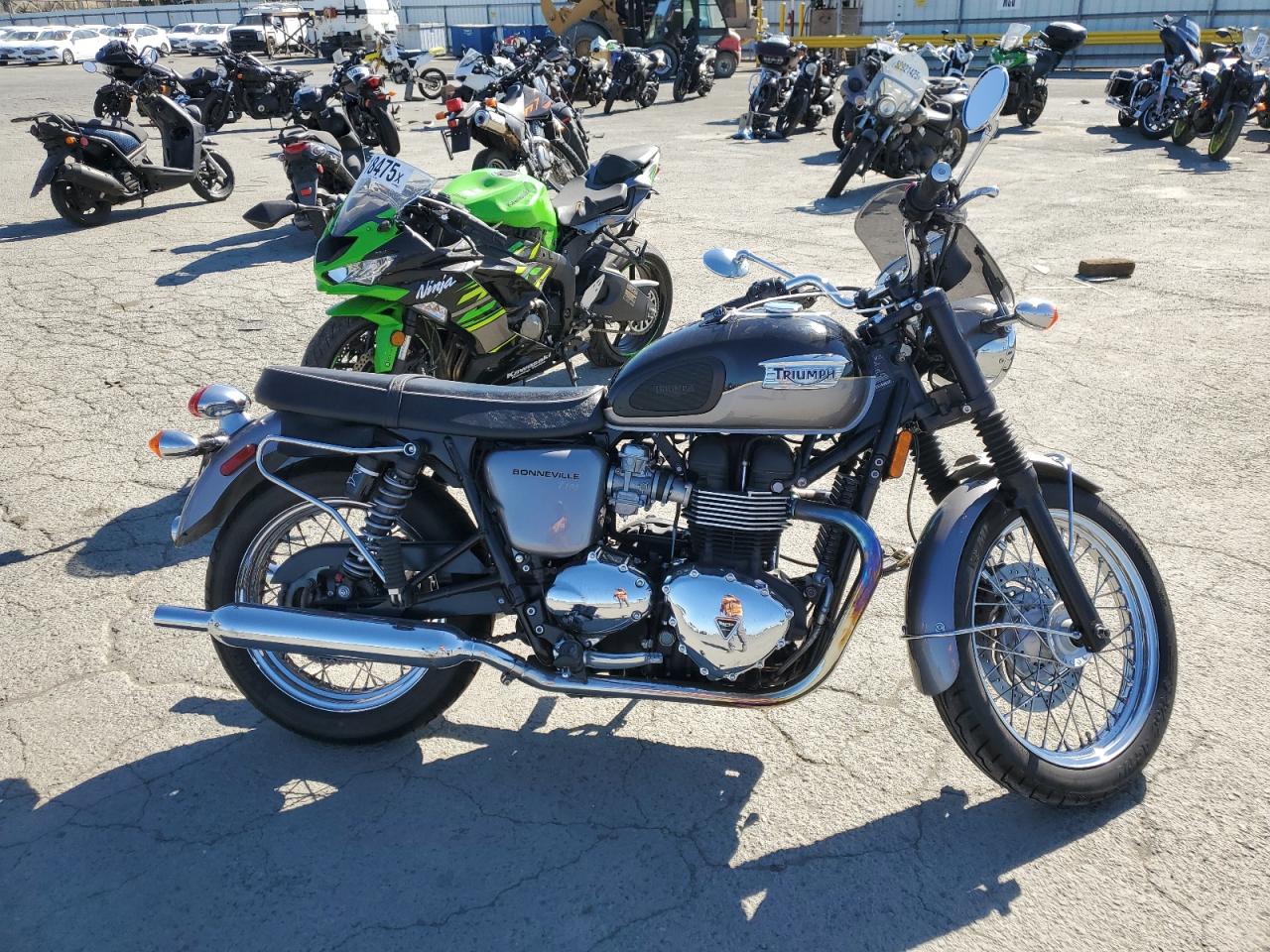 2013 Triumph Motorcycle Bonneville T100 for Sale in Martinez, CA - Side