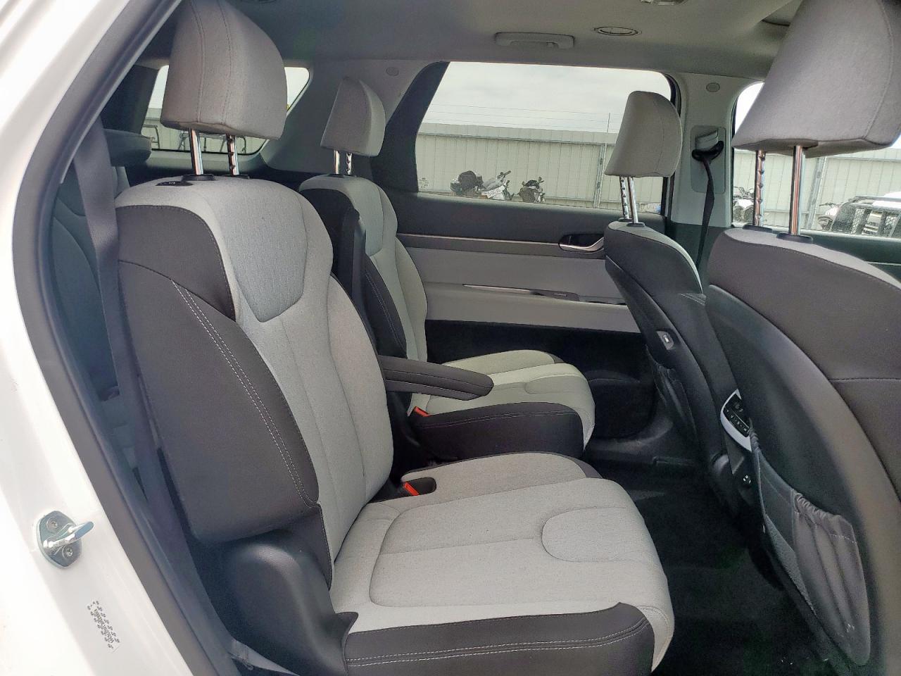 2021 Hyundai Palisade Sel VIN: KM8R2DHE1MU276349 Lot: 58044115