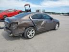 Grand Prairie, TX에서 판매 중인 2014 Nissan Maxima S - Rear End