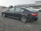 2007 Lexus Ls 460 for Sale in Earlington, KY - Hail