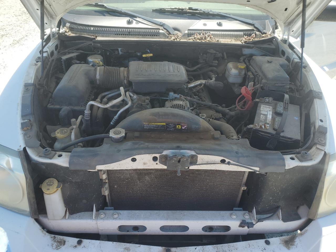 2006 Dodge Dakota Quad Slt VIN: 1D7HW48N46S605943 Lot: 55553545
