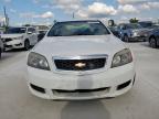 2016 Chevrolet Caprice Police იყიდება Haslet-ში, TX - Hail