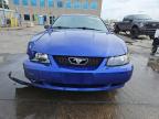 2004 Ford Mustang  na sprzedaż w Littleton, CO - Front End