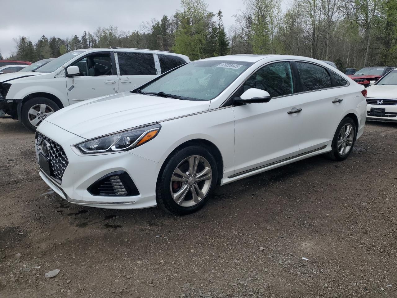 5NPE34AF3KH784252 HYUNDAI SONATA Photo 1