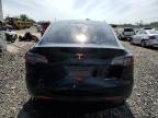 2023 Tesla Model Y    for Sale in Hillsborough, NJ - Side