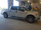 2012 Ford F150 Supercrew for Sale in Columbia, MO - Side