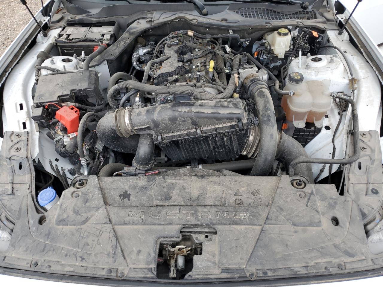 2024 Ford Mustang VIN: 1FA6P8TH6R5109882 Lot: 55615885